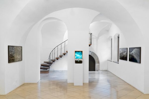 Julian Palacz ⋅ Wirbel-Analysen (1)