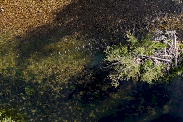 Julian Palacz ⋅ Flussaufwärts (1)